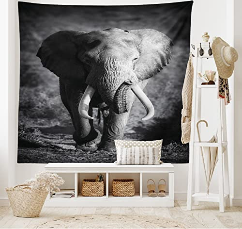 ABAKUHAUS Tier Wandteppich und Tagesdecke, Exotic Wildlife, aus Weiches Mikrofaser Stoff Wand Dekoration Für Schlafzimmer, 230 x 140 cm, Grau Schwarz