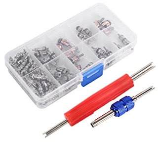 Cœur de Valve, kit d'assemblage A/C R134a / R12, 102pcs, pour kit de Noyau de Valve de Pneu