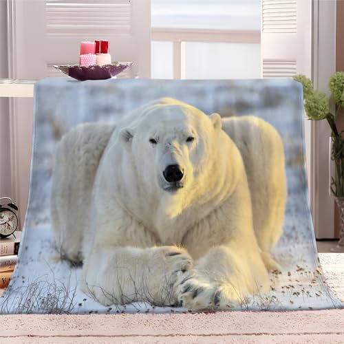 XCQHZYQ Wohndecke Eisbär 200x200 cm Kuscheldecke Flauschig Decke Fleecedecke Falten beständig Kuschelige Atmungsaktive Decken für Bett Sofa Couch