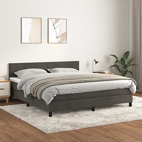 Willood Boxspringbett mit Matratze Dunkelgrau 180x200 cm SamtSchlichtes Design