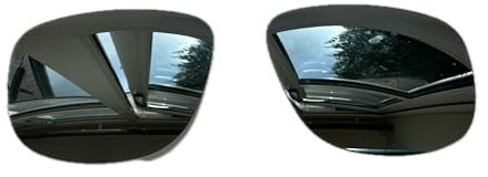 Polarlens Verres polarisés de rechange pour lunettes de soleil Oakley Holbrook R, Argenté., Taille unique