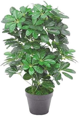 Leaf Arbre Parapluie Artificiel Schefflera Arboricola avec Pot en Plastique Noir 55 cm, Buisson Foncé de 55 cm., 55cm Dark Bush