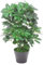 Leaf Schefflera arboricola artificiale (pianta ombrello), in vaso di plastica nero, fogliame scuro, 55 cm