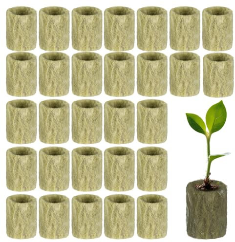 Dncvb 30 Stücke Steinwolle Anzucht Rockwool Cube Steinwolle Würfel Steinwollmatte Steinwolle Plugs Steinwolle Anzuchtmatte für Bodenlos Anbau Hydrokultur Umpflanzen