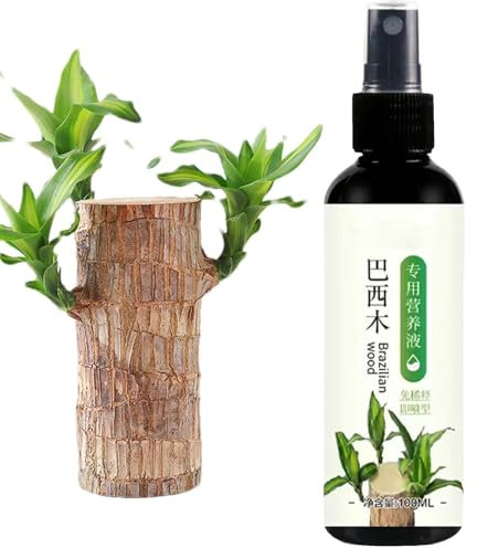 Fertilizzante Per Piante Di Legno Brasiliano Da 100ml - Fertilizzante Liquido Per Piante Da Interno Per Legno Fortunato | Fertilizzante Liquido Organico Per Legno Brasiliano Per Piante Da Interno