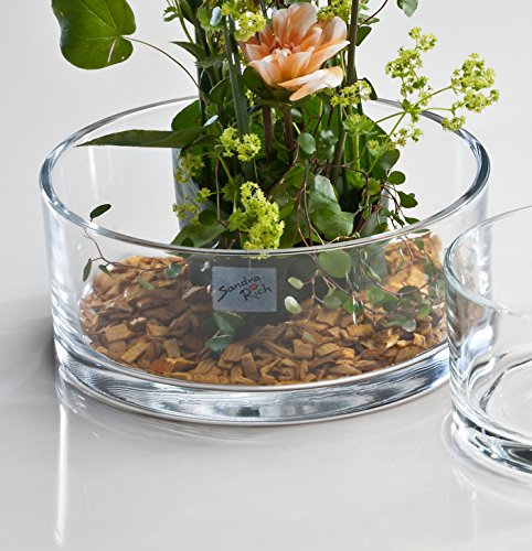 5x Glasschale Automatic klar rund 8 cm Ø 19 cm von Sandra Rich