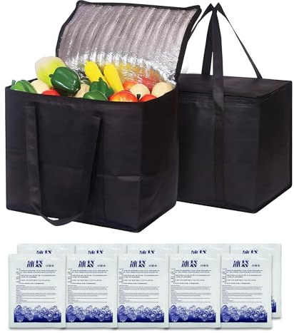 2 Stück Kühltaschen（20L+20L）+10 Stück Ice Bag，Kühltasche Faltbar，Kühltasche Klein，Cooler Bag，Picknicktasche, Isolierbeutel, Geeignet für Grillen im Freien, Camping und Einkaufen