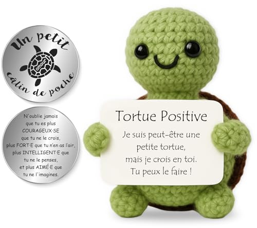 Tixlux Tortue Positive, Cadeau Tortue Optimiste Faite Main avec Petit Câlin Porte-Bonheur, Cadeau Remonter Le Moral, Bon Rétablissement, Cadeaux pour Femme Anniversaire Rentrée Scolaire