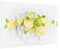 Spritzschutz Glas - Zitrusfrüchte auf Eiswürfel 40 x 60 cm Küchenwand Scheibe