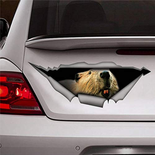 Biber Auto-Aufkleber, Biber Aufkleber, Tier-Aufkleber, 3D, lustiger Auto-Aufkleber, Fenster-Aufkleber, Vinyl-Stoßstangenaufkleber, Laptop-Aufkleber, Geschenk