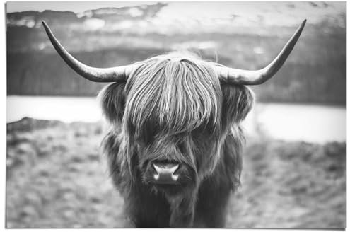 REINDERS Poster, Cattle, Wohnzimmer, Poster, Wanddeko, Room Decor, 150 gr. glänzend Bilderdruckpapier, Schwarz-Weiß, 61x91,5cm