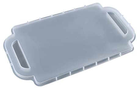 NUOBESTY Vassoio Silicone Per Resina Epossidica Stampo Per Frutta e Snack Facile Da Rimuovere Riutilizzabile e Non Deformabile Per Progetti Fai Da Te e Regali Creativi