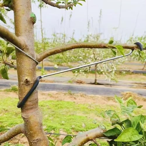 LEILINLIFE Obstbaumzweig-Spreizer, 20 Stück, vielseitige und langlebige Lösung für Baumstützen, Äste, Verlängerung (25,4 cm/10 Zoll)