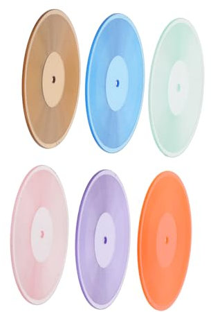 NAMOARLY 6pezzi Miniature Vinyl Record Realistici e Decorazioni Vintage per Collezionisti e della