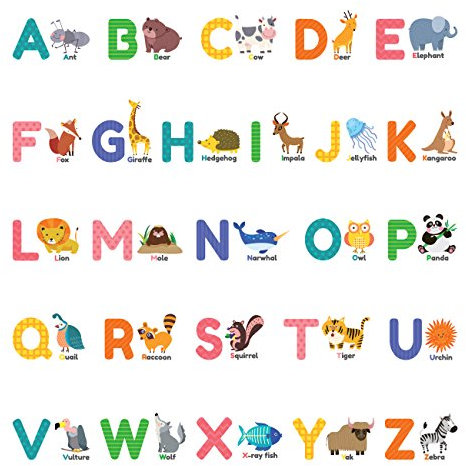Decowall Wandaufkleber für Kinder, mit Tier-Alphabet, ABC, groß, Eulenaufkleber (1614P1410 1614 8014), Ds-8014, Small