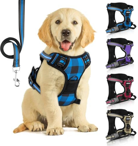 SIBOTER Hundegeschirr mit Hundeleine, Reflektierendes Hundegeschirr Kleine Hunde, mit Einfache Kontrolle Griff und Rückseite perfekt für Spaziergänge im Freien (Blau Kariert, S)