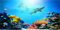 MIRRORANG 120x46cm Aquarium Hintergrund Koralle Tropische Fische Riff Unterwasserwelt Aquarium Hintergrund Langlebig Vinyl
