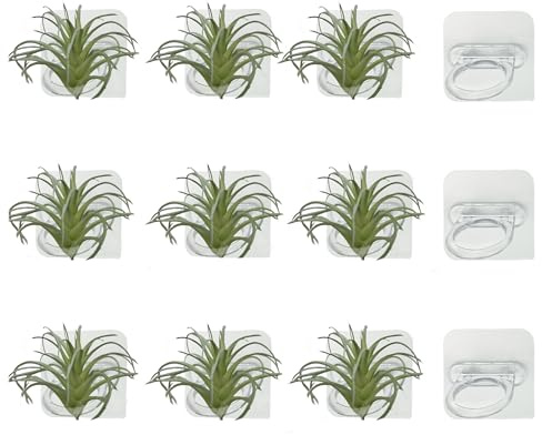 Aogigigio Air Plant Holder - 12 Pcs Acrylic Air Plants Hanger Wall Holders for Live Tropical Plant Home Office Decoration Supplies, Plants Not Included