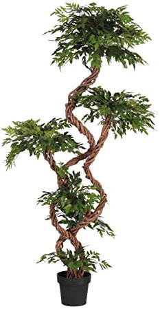 Blooming Artificial - Artificial 180cm / 6ft (H) Fruticosa Tree, Realistic Japanese Bonsai Style Plant, Artificial Topiary Spiral with Natural Wood Stem, Great for Home and Office