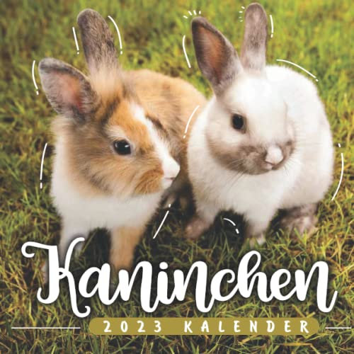 Kaninchen Kalender 2023