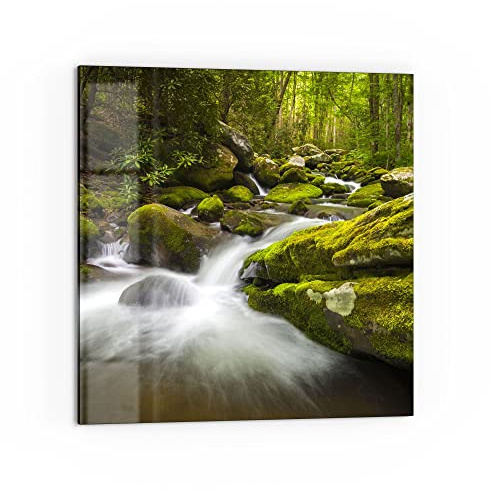 DEQORI Küchenrückwand Glas | Motiv Sattgrüne Waldkulisse | 60x60 cm | Bad- oder Herd-Rückwand | Herdblende Spritzschutz für Küche & Badezimmer | moderne Deko für Fliesenspiegel