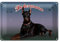 Dobermann Blechschild | Elegantes Design mit Hundemotiv für Tierliebhaber | Ideal für Dekoration | 20 cm x 30 cm