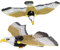 TOYANDONA 2St Vogel Gadgets fliegendes für Drohne kinderspielzeug Bird Toys Kid Toys lustiges Adlerspielzeug lustiges Musikspielzeug Plastik