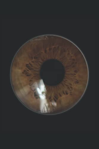 Auge Notizbuch: Motiv Iris braun Auge