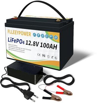 LiFePO4 Batterie au lithium 12,8 V 100 Ah rechargeable 4000 + batteries à décharge profonde avec BMS 100 A pour système solaire, camping-car, stockage solaire, camping