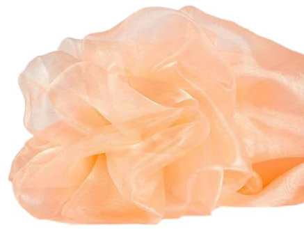 Wambere 3m x 150cm Organza Stoffe zum Nähen Meterware Organzastoff Dekostoff Bekleidungsstoffe für DIY Kunsthandwerk Basteln Vorhänge Tischdecken Hochzeit Party Kleidungsdekoration,Champagner