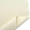 TOLKO Canvas unbehandelte ROH-Baumwolle 168cm breit | mittelschwerer Baumwollstoff naturfarben als Polsterstoff Dekostoff | Stoffe zum Nähen Meterware Baumwolle Stoff Canvasstoff