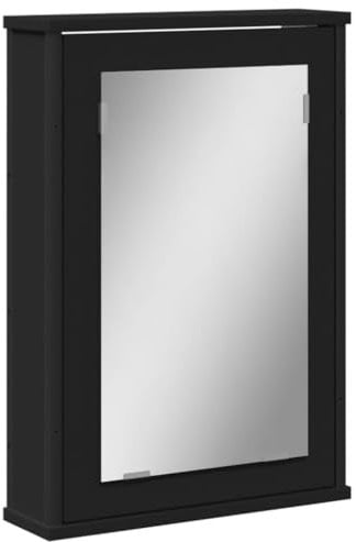 vidaXL Bathroom Mirror Cabinet with Storage Space - Wall Mounted Bathroom Mirror, Black Wood