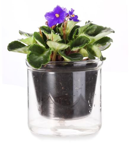 LAZUSAM Selbstbewässernder Topf, 10,2 cm, afrikanischer Veilchen-Topf, Glas-Pflanzgefäß für Zimmerpflanzen und Fortpflanzung