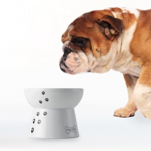Necoichi Raised Dog Food Bowl, 0.47 kg