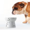 Necoichi Raised Dog Food Bowl, 0.47 kg