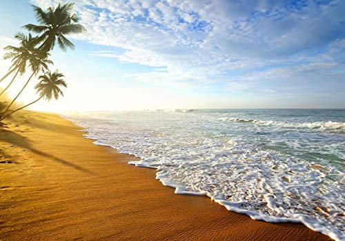 wandmotiv24 Fototapete Wellen Indischen Ozean Sri Lanka, XXL 400 x 280 cm - 8 Teile, Wanddeko, Wandbild, Wandtapete, Himmel Meer Strand Wolken Palmen M4959
