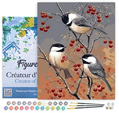 Figured'Art Malen Nach Zahlen Erwachsene Mit Rahmen Vögel und Obstbaum - Paint by Numbers Basteln DIY Bastelset 40x50cm - Leinwand gespannt auf Holzrahmen