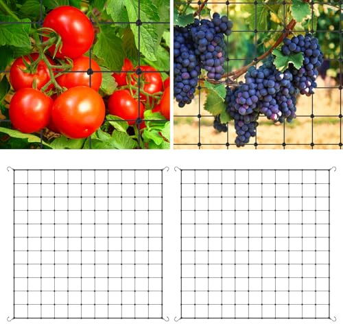 2 Stück Zelt Netz,Scrog Netz,Ranknetz für Kletterpflanzen mit Haken,Elastisches Pflanzennetz für Pflanzen,Gemüse,Obst,Garten,Balkone(schwarz,120x120cm)