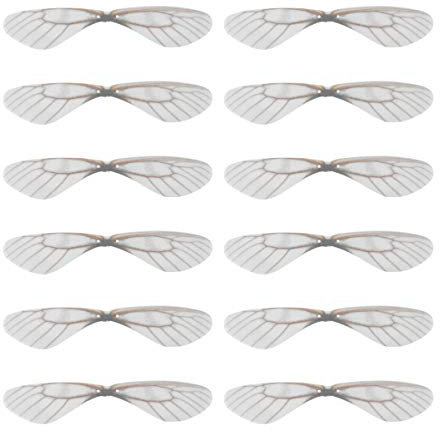 Supvox 70 Stück weiße Libellenflügel-Anhänger, handgefertigt, für Hochzeiten, Libellenflügel-Anhänger für DIY-Ohrringanhänger