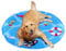 himaly Cooling Mat for Dogs Cats Puppy,Foldable Self Gel Cooling Pet Pillow Pad, Non-slip Pet Beds Sleeping Mattress Summer, Round M 24 * 24 inch/ 60 * 60cm
