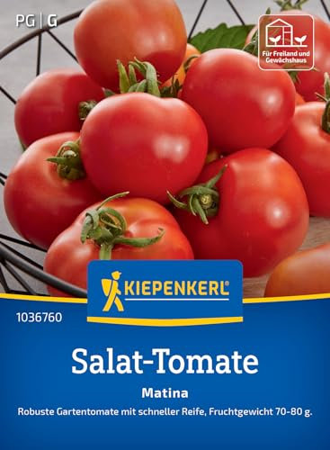 Kiepenkerl Salat-Tomatensamen Matina 1036760 - frühe Sorte - rote Früchte - fruchtig & süß - Kartoffelblättrig - Saatgut, Samen Gemüse, Gemüsepflanzen