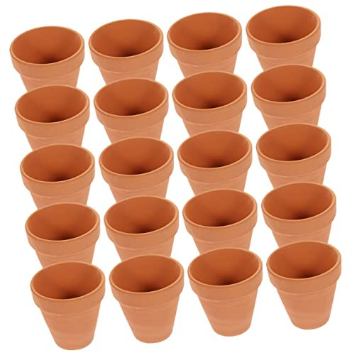 CAXUSD Miniature Plant Pots with Drainage 20pc Mini Terracotta Succulent Flower Planters Perfect for Indoor Plants