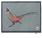 HUG RUG Washable Dirt Trapper Door Mat Kitchen Hallway Doorway, Made in the UK, Pheasant 1 65X85