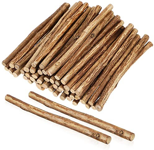 Toddmomy 50 Stück Holzstab Selber Machen Bastelstöcke Aus Holz Stöcke, Die Zweige Basteln Holzstäbchen Holzstöcke Basteln Bastelstäbe Birkenholz Natürliche Zweige Mini Kursunterlagen Kind