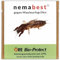 nemabest® SC Nematoden für 50m² (25 Mio.) gegen Maulwurfsgrillen/Werren im Rasen, Gemüse, Kartoffeln oder Kräutern