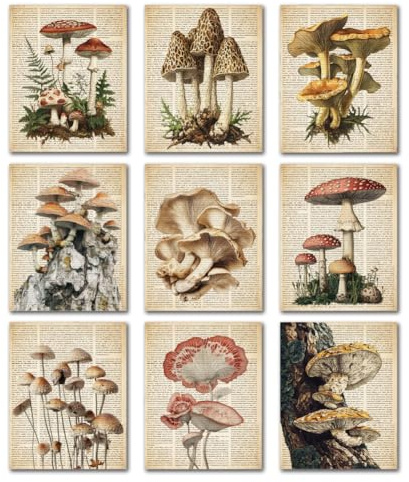 DOODLREAM 9 Packung Pilz Auf Vintage Zeitungshintergrund Ungerahmt Wasserdichte Leinwand Wandkunst Dekoration Wandposter 20 x 25 cm für Zuhause Büro Bibliothek Schlafzimmer Wohnzimmer Dekoration