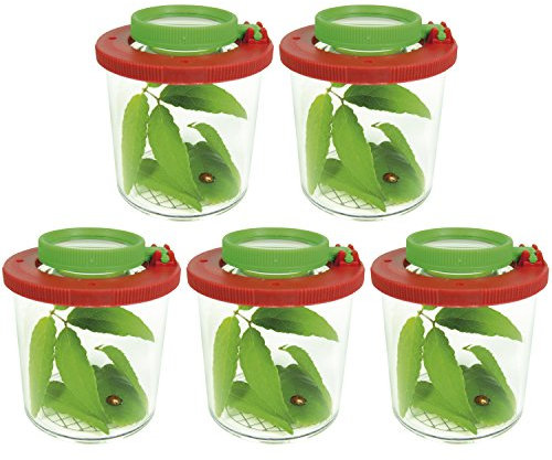 EDUPLAY Lupendose Ø 6 cm, H 7 cm, mit Plastikspinne, Stück:5 Stück