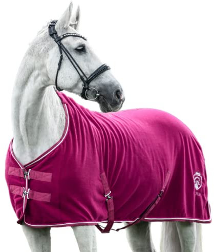 EQUILYX® Abschwitzdecke Pferd mit Kreuzgurten [perfekte Passform] Fleecedecke Stalldecke Transportdecke wärmend feuchtigkeitsabsorbierend atmungsaktiv (Fuchsia, 125cm)