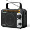 LEOTEC - Radio FM AM con Bluetooth, batteria transistor classica ricaricabile portatile, 4 batterie AA, spina da parete, AUX, altoparlante grande, piccolo auricolare come regalo per