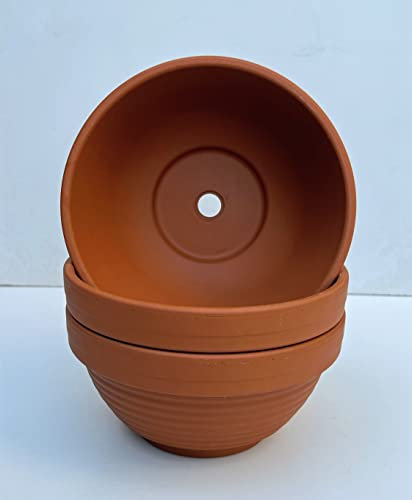 Spang Classic Ribbed Terracotta Planter Bowl - 19.5cm W x 9.5cm H (RB19) (Pack of 3)